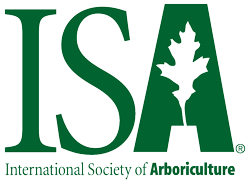 ISA_logo