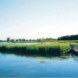 Crosswinds Marsh