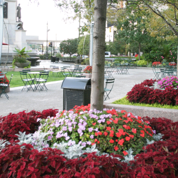 Campus Martius