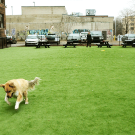 Midtown Detroit Dog Park