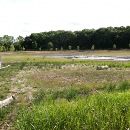 The Malletts Creek Wetland Preserve