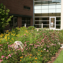 Oakwood Hospital and Medical Center