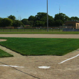 UAW–Ford Baseball Fields